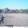 Trail Cameras at Agua Vida Ranch