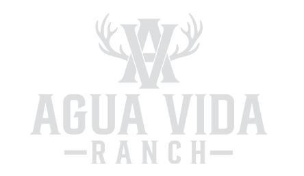Agua Vida Ranch
